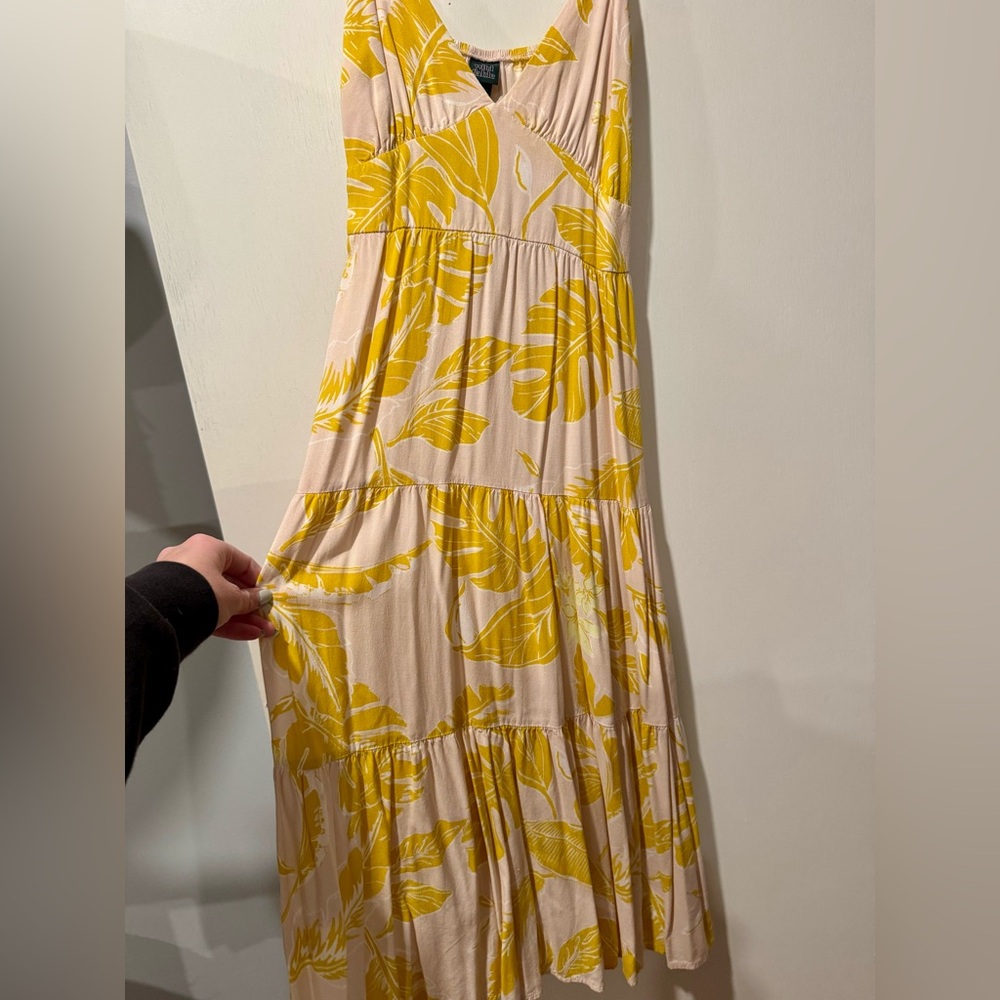 Wild Fable dress